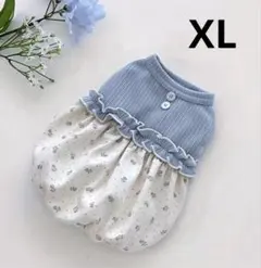 Item thumbnail for item 2060f7ee-2fad-4397-8dbd-b0357b6eec77