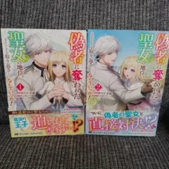 アオプル(プロフ更新しました(^^)d)様 リクエスト 2点 まとめ商品