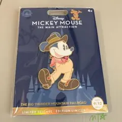 Disney Mickey Mouse Main Attraction 9/12