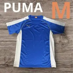 Item thumbnail for item 81ed2ccb-2cf0-4895-af4d-92674173df08