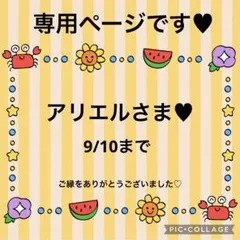 アリエルさま♥️ハンドメイド　レジンヘアゴム　8.10限定②