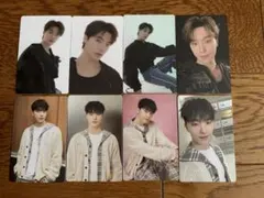 SEVENTEEN セブチ ディノ トレカ