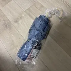 Item thumbnail for item d2097a88-ad44-4a96-9f0f-fcbdf9e29005