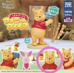 Winnie the Pooh ファニーフェイス フィギュア