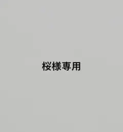 桜様専用羊毛フェルト　猫ちゃん