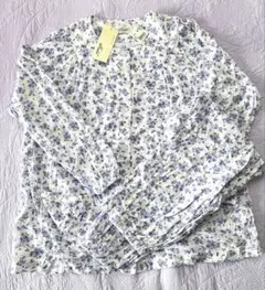 Item thumbnail for item 7563b665-d5f4-4fdb-afb2-c98d583fe506