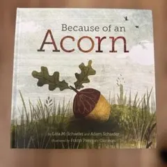 Because of an Acorn