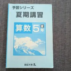2026年最新】四谷大塚 予習シリーズ 5年の人気アイテム - メルカリ
