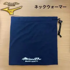 Item thumbnail for item 1e6f5e66-b2a3-4d2a-a9e5-9d91c3006a6b