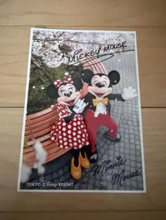 【未使用/レア】ディズニー ミッキー＆ミニー スキルスクリーン ヴィンテージ メルカリ