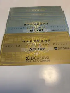XEBIO HOLDINGS 特別優待券 20%OFFチケット