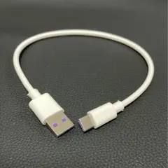 Item thumbnail for item 78a14df4-5371-4585-8e57-97029fddf440