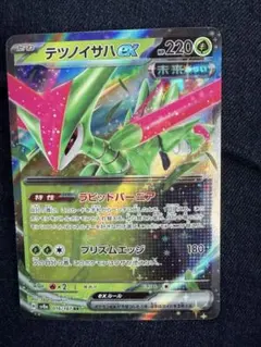 テツノイサハEX 220HP RR