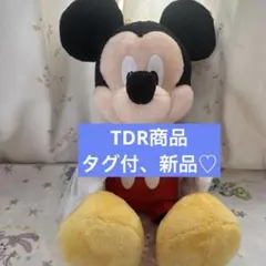 東京ディズニーリゾート ミッキーマウス ぬいぐるみ ミッキー
