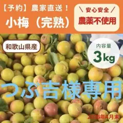 おひさま農園の農薬不使用 青梅 梅3kg - メルカリ