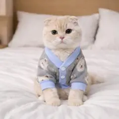 Item thumbnail for item 8d310284-0089-4669-ba2d-9bc931e5068e