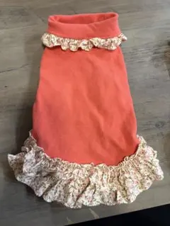 鎌倉ドッグ　春服　Mのサムネイル