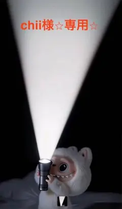 chii様専用ページ