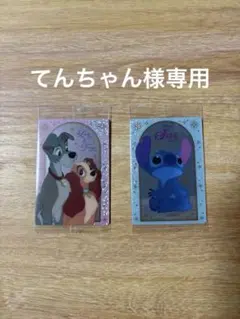 【てんちゃん様専用】