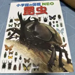 小学校の図鑑NEO 昆虫