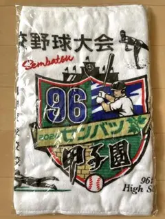 2023年甲子園大会タオル　2点セット 大会タオル - 阪神甲子園球場公式オンラインショップ 甲子園eモール