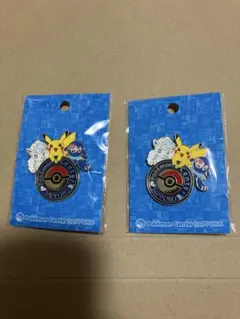 ポケモンセンターロゴピンズバッチ 2個セット 札幌限定 - メルカリ