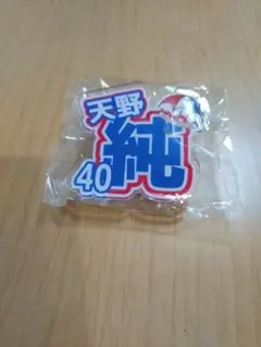 横浜F・マリノス 天野純 40 ネームキーホルダー