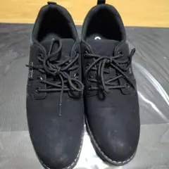 Item thumbnail for item c144d364-7a42-464e-84ec-d721b6a94b72