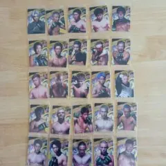 未開封、RIZIN、ウエハース、カード、全２５枚