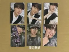 &team ej タレントカード