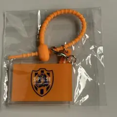 Jリーグ ガチャ　マルチチャーム　清水エスパルス