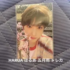 &team HARUA はるあ ハルア 五月雨 トレカ ⚠️最終値下げ