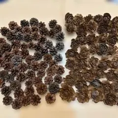 パセリスト様 リクエスト 2点 まとめ商品