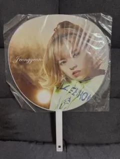 TWICE Wake Me Upうちわ ジョンヨン