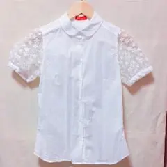 シャツ