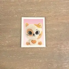 BBNEXDO CATBBI ソンホ　証明写真