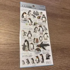 ペンギン編　【大人の図鑑シール】　【カミオジャパン】