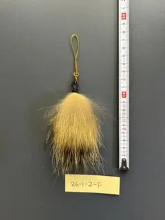 Item thumbnail for item 70d46c21-50c4-4894-95c6-d27f6e422bed