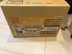유니참 올웰 드라이 캣푸드 치킨맛 3.8kg