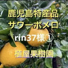 （鹿児島特産品）rin37様専用① サワーポメロ　箱満杯詰　いちき串木野市産