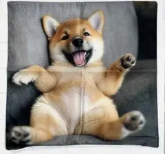激レア♡柴犬　柴犬　豆柴　笑顔　クッションカバー　45×45cmのサムネイル