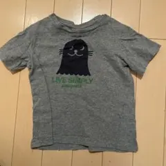 パタゴニア　Tシャツ　ベビー　12-18M