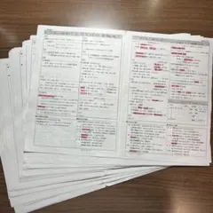 坂本勝義日本史プリント(通史＋文化史＋歴代内閣＋土地制度史