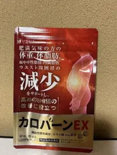 カロバーンEX ダイエット 体重 体脂肪減少 肥満 30日分のサムネイル