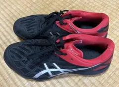 Item thumbnail for item 0efa4acb-a01e-4ef1-8ca3-1eedea822a4a