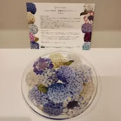 【新品】フェリシモ　たゆたう花手水（はなちょうず） 紫陽花のガラスプレートのサムネイル