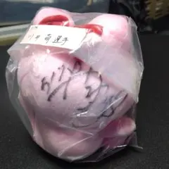 川井萌 スポーツ選手