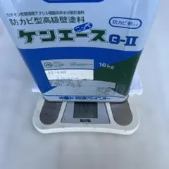 日本ペイント ケンエース G-II 15.1kg02-60H カラー画像あり - メルカリ