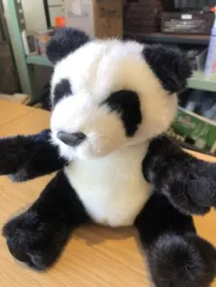 Item thumbnail for item bbdf7489-4c40-4c8a-a1b6-81de7980b182