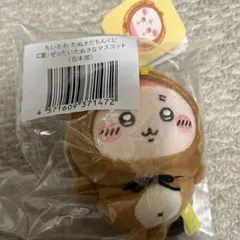 ちいかわ たぬきだもんくじ C賞(古本屋) ぜったいたぬきなマスコット